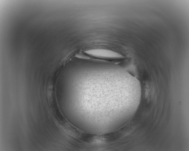 X0000067510263200604150141