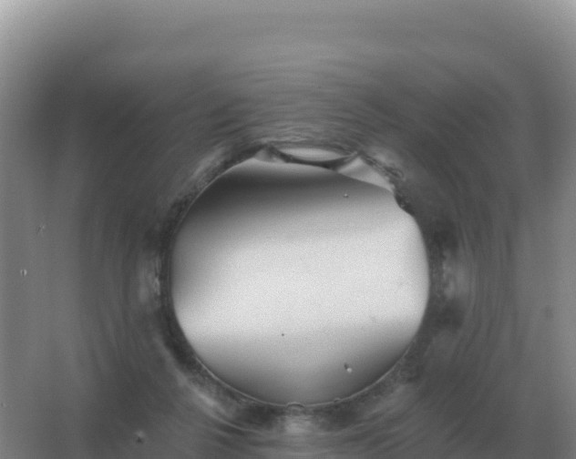 X0000067510264200604150141