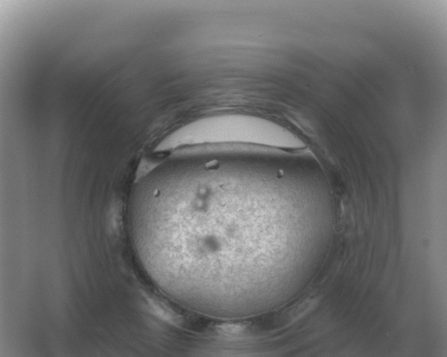 X0000067510265200604150141