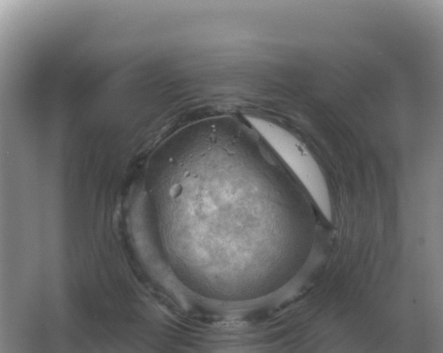 X0000067510266200604150141