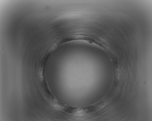 X0000067510267200604150141