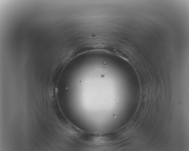 X0000067510268200604150141