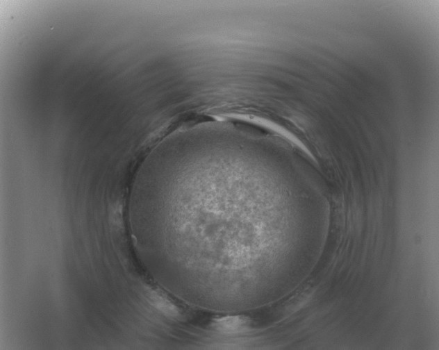 X0000067510269200604150141