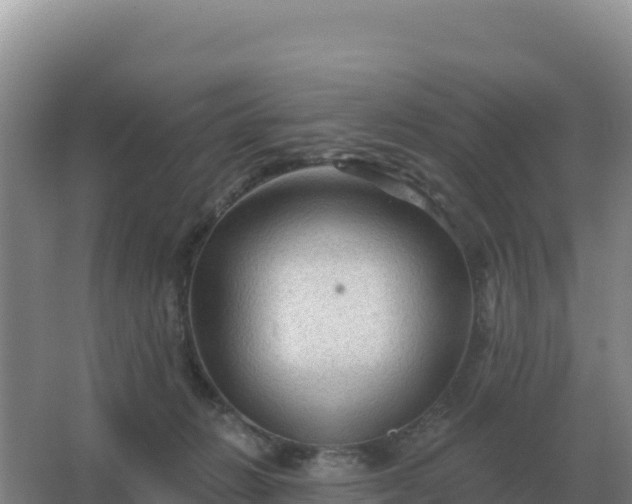 X0000067510270200604150141