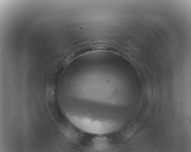 X0000067510271200604150141