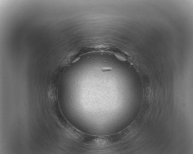 X0000067510272200604150141