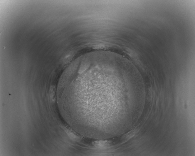 X0000067510273200604150141