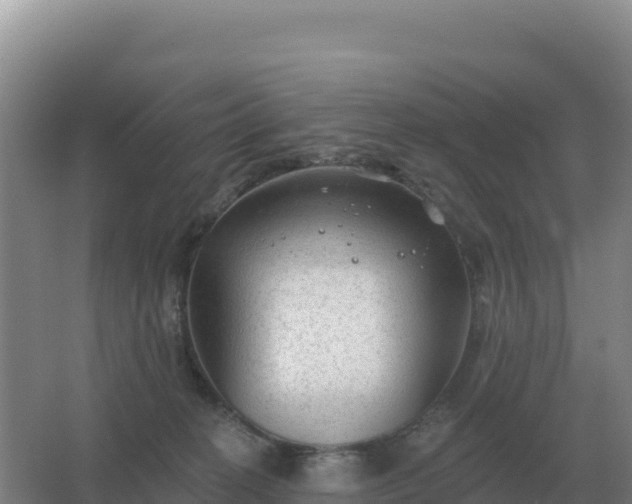 X0000067510274200604150141