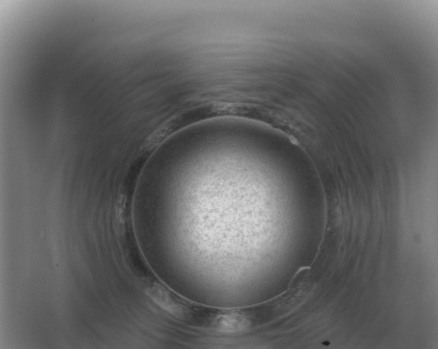 X0000067510275200604150141