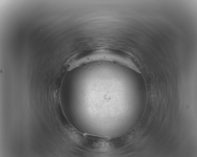 X0000067510276200604150141