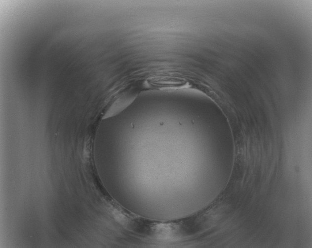 X0000067510277200604150141