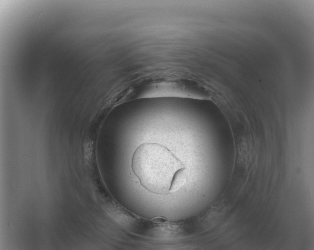 X0000067510278200604150141