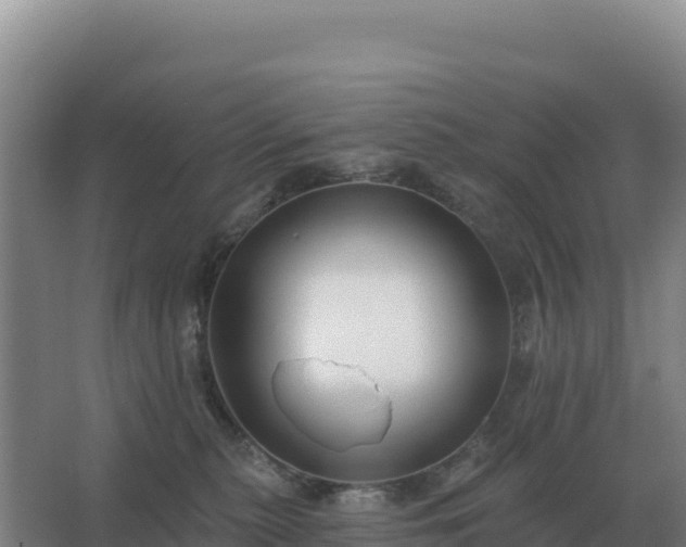 X0000067510279200604150141