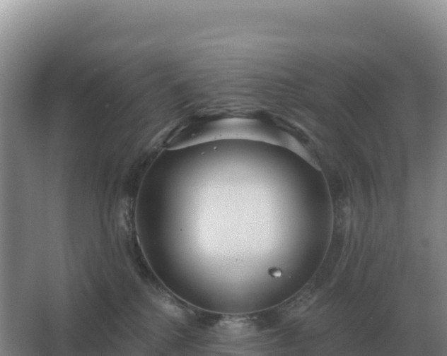 X0000067510280200604150141