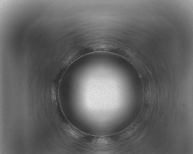 X0000067510282200604150141