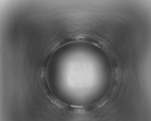 X0000067510284200604150141