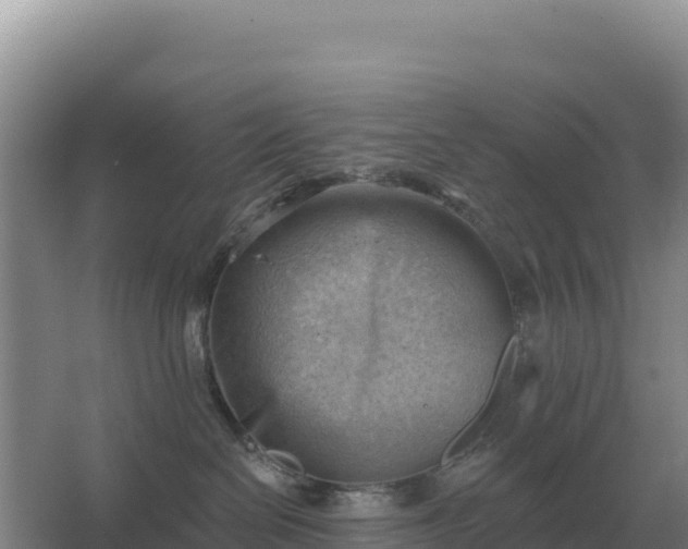 X0000067510286200604150141