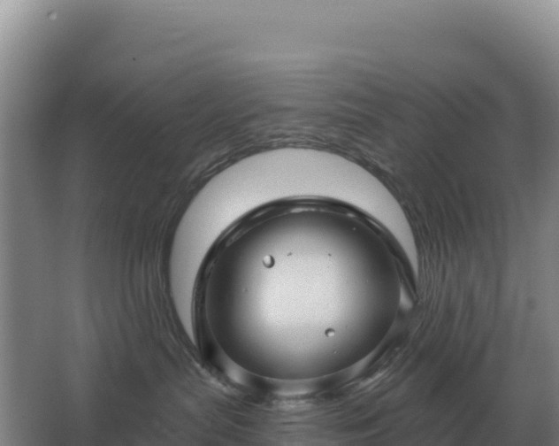 X0000067510287200604150141