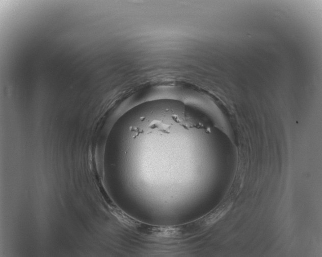 X0000067510288200604150141