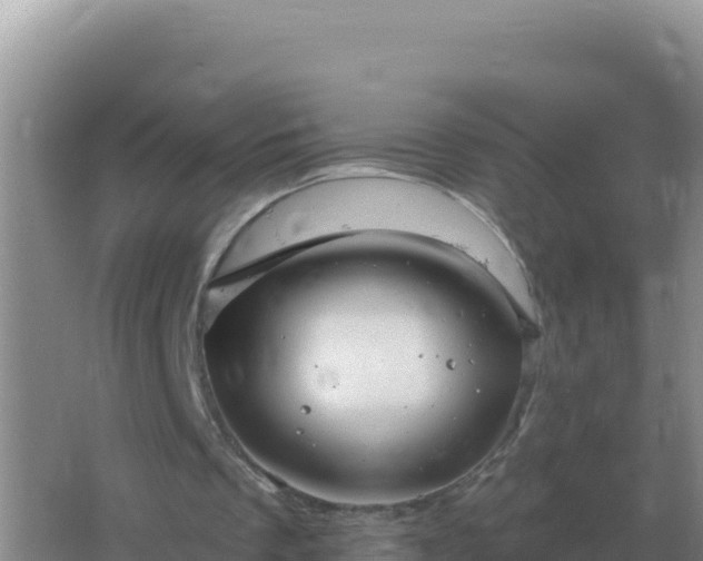 X0000067510289200604150140