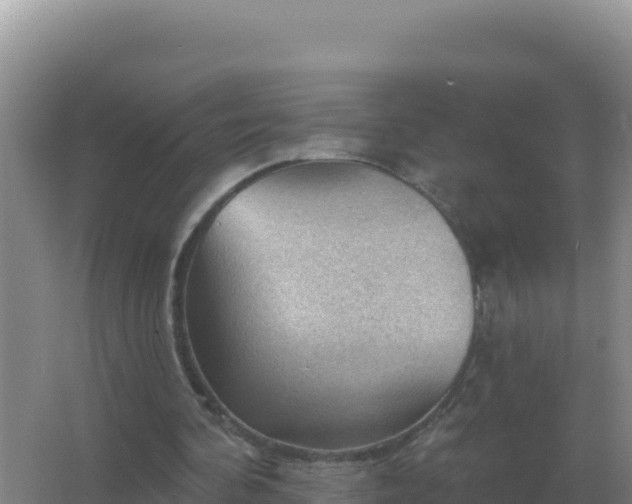 X0000067510292200604150140