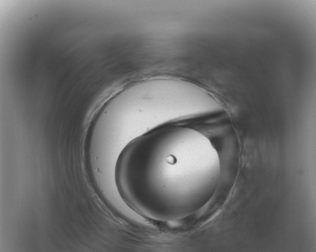 X0000067510293200604150140