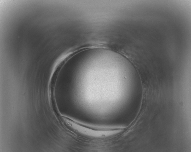 X0000067510294200604150140