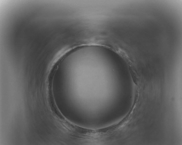 X0000067510295200604150140