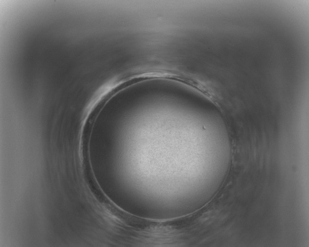 X0000067510296200604150140