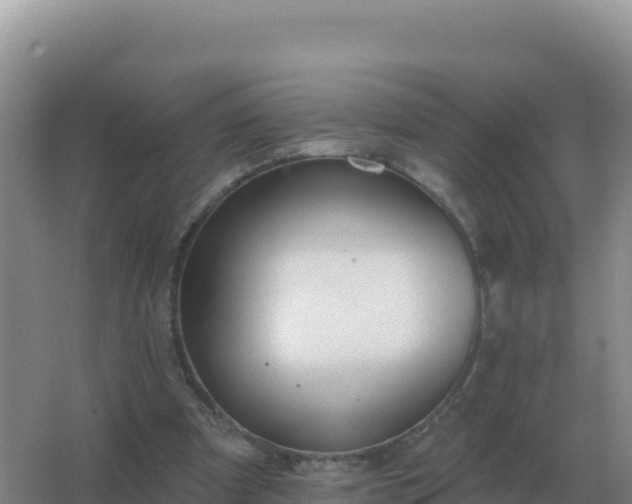 X0000067510297200604150140