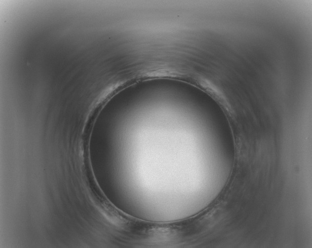 X0000067510298200604150140