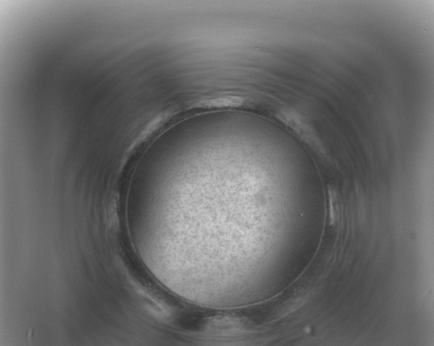 X0000067510300200604150140