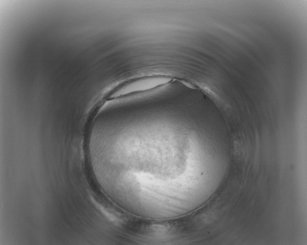 X0000067510302200604150140