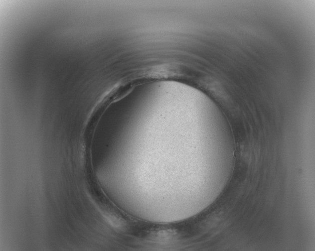 X0000067510304200604150140