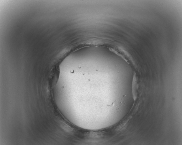 X0000067510305200604150140