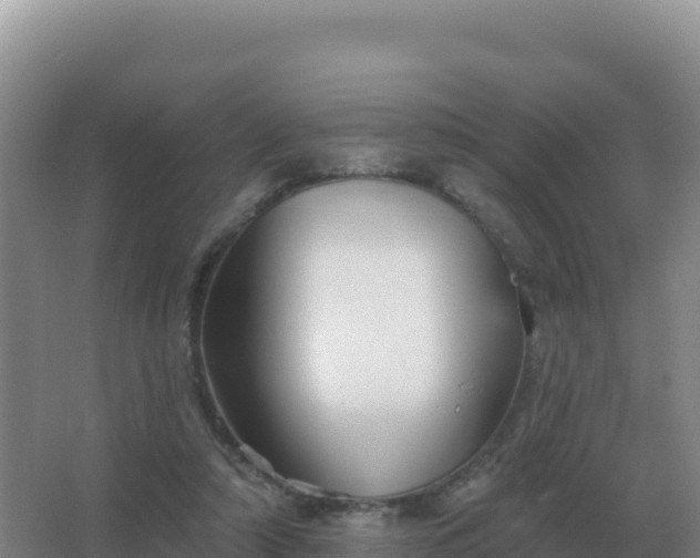 X0000067510306200604150140