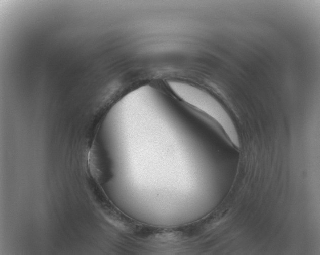 X0000067510307200604150140