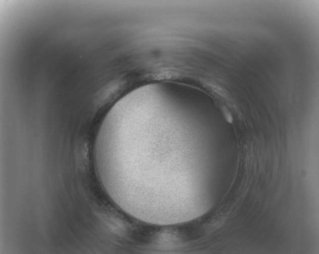 X0000067510308200604150140