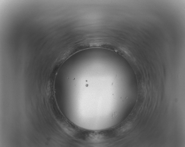 X0000067510311200604150140