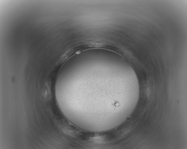 X0000067510312200604150140