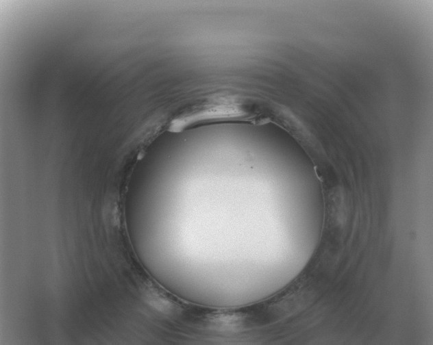 X0000067510313200604150140