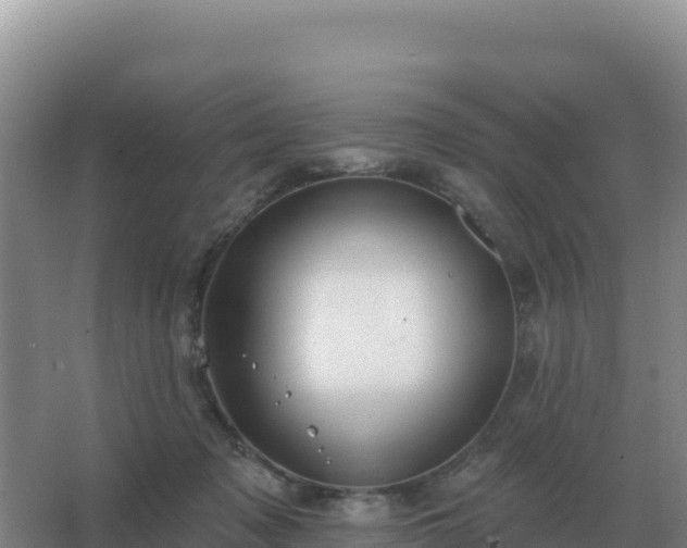 X0000067510317200604150140