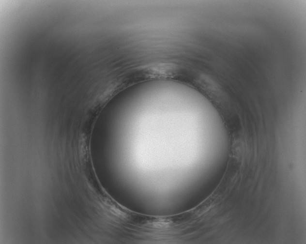 X0000067510318200604150140