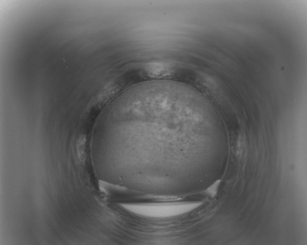 X0000067510319200604150140