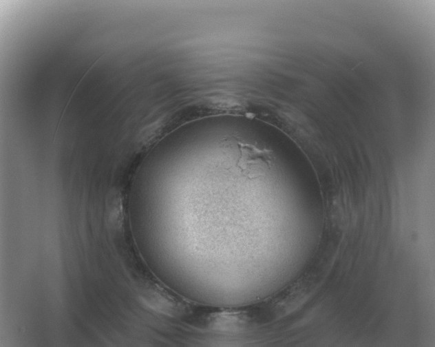 X0000067510320200604150140