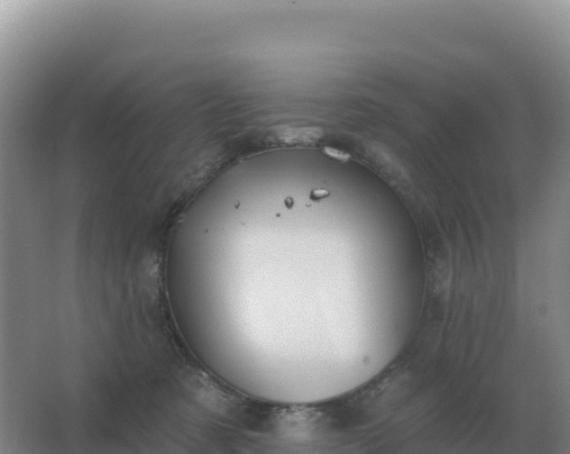 X0000067510321200604150140