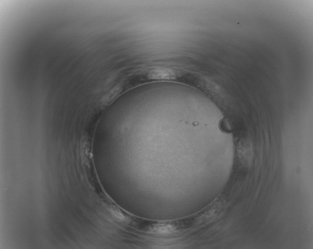 X0000067510322200604150140