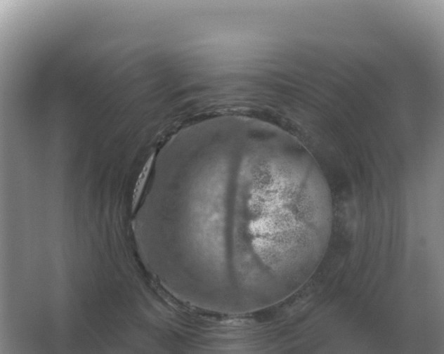 X0000067510323200604150140