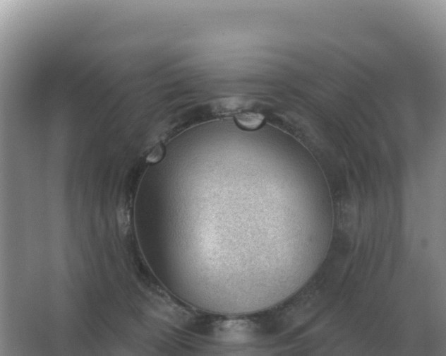 X0000067510324200604150140