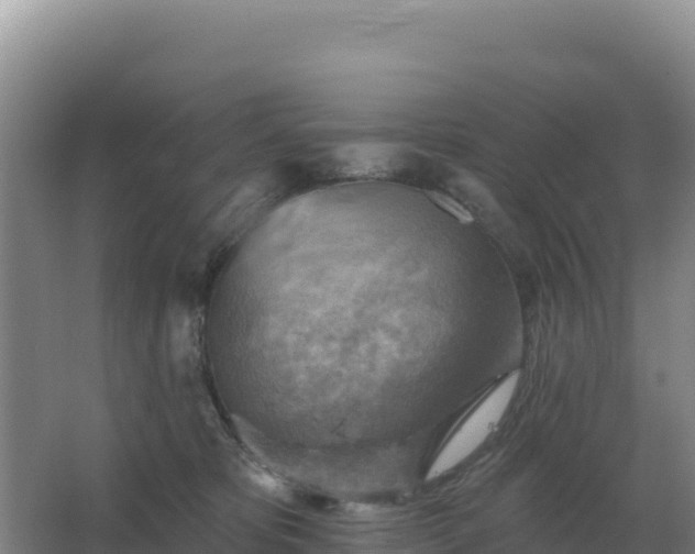 X0000067510325200604150140